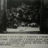 Товарный вагон, обнаруженный в районе Борисоглебска с трупами коммунистов, красноармейцев и крестьян.  1920 г.