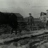 Оказание помощи красноармейцами населению Тамбовской губернии. 1921 г.